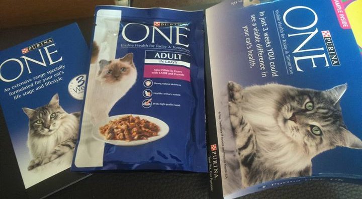 Purina-Cat-Food-Samples