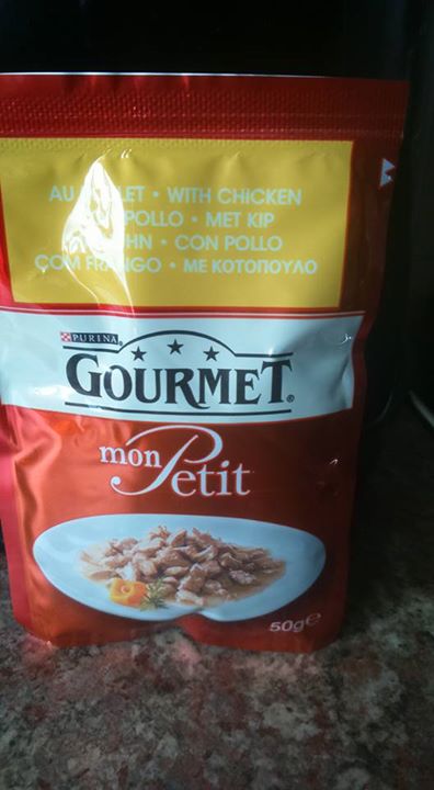 Purina-Gourmet-Cat-Food-Sample