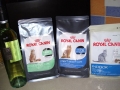 Free-Royal-Canin-Cat-Food