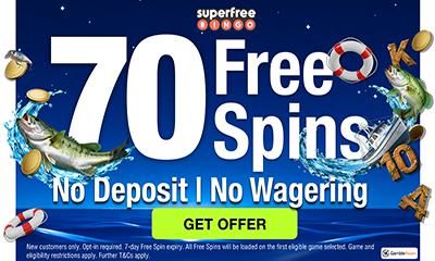 70 Free Bingo Spins - No Deposit Needed